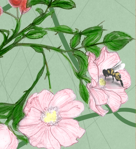 Bee
