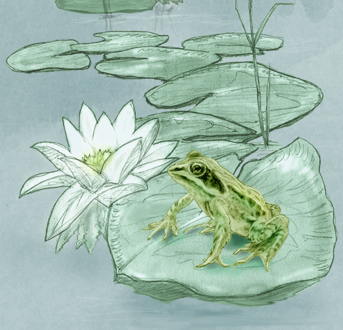 Frog